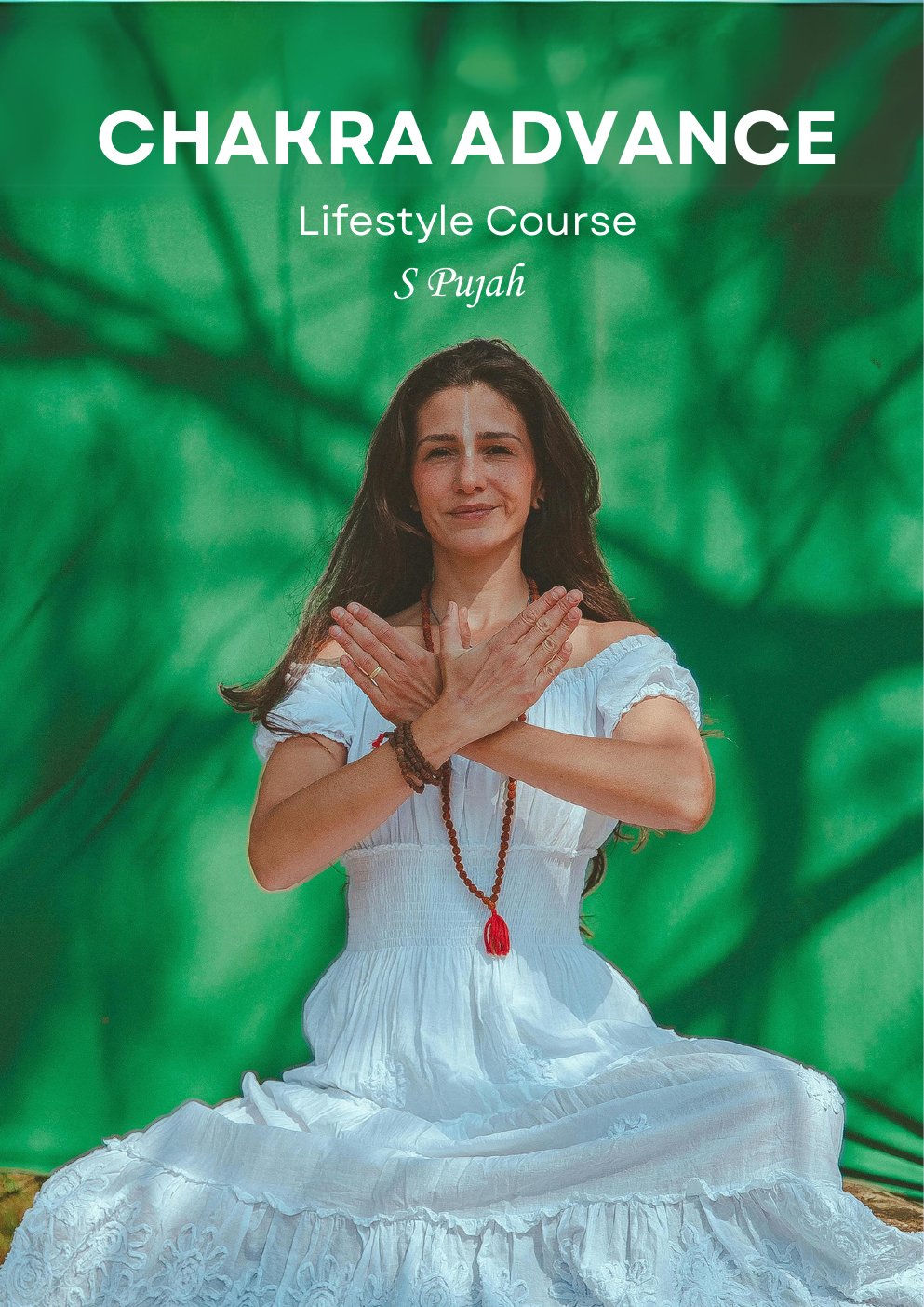 Chakra Advance brochure cover